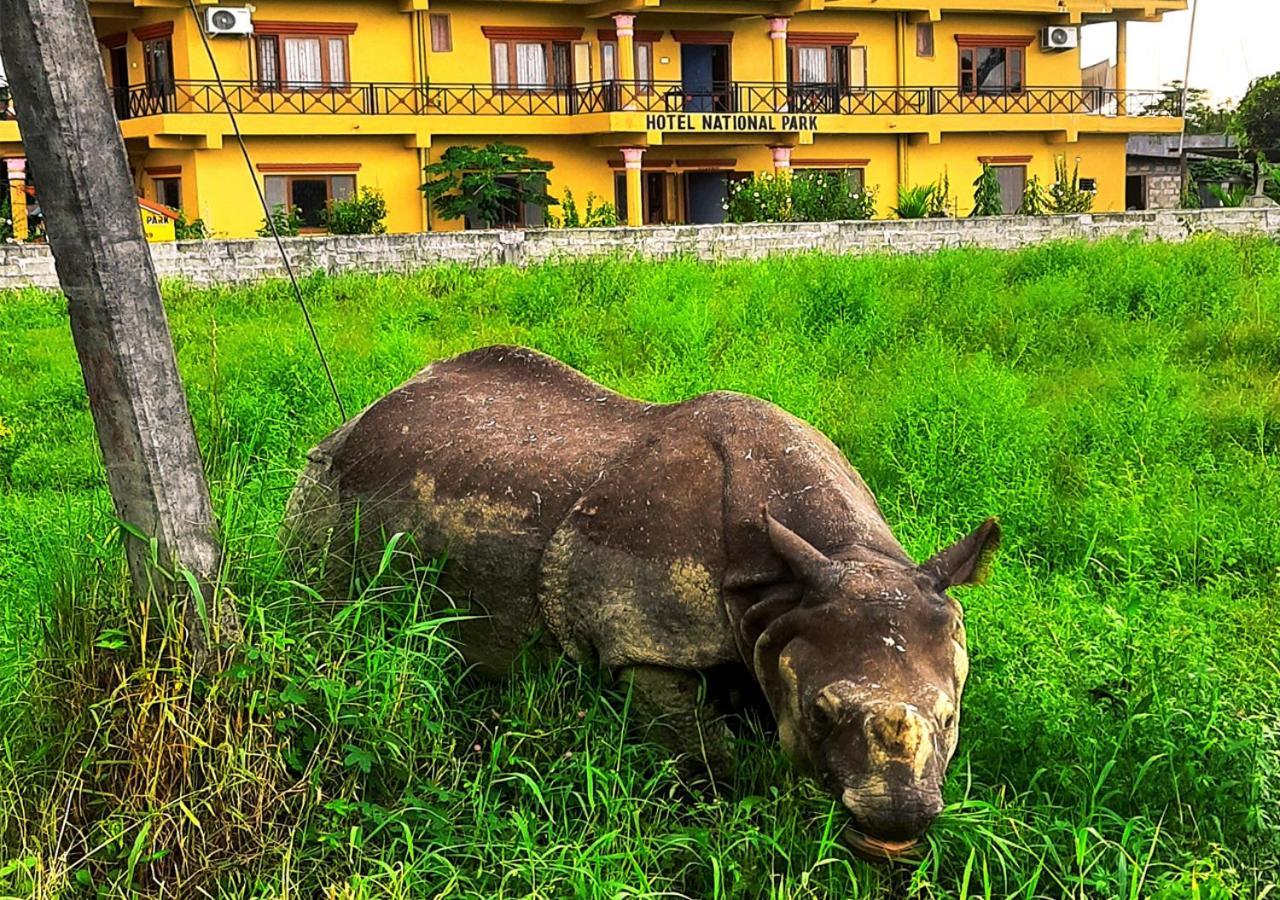 Hotel National Park Sauraha- Homely Stay And Peaceful Location With Jungle Safari Arrangements Exteriör bild