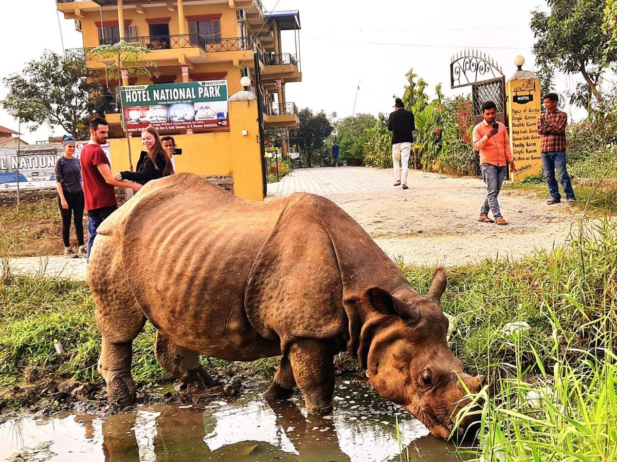 Hotel National Park Sauraha- Homely Stay And Peaceful Location With Jungle Safari Arrangements Exteriör bild