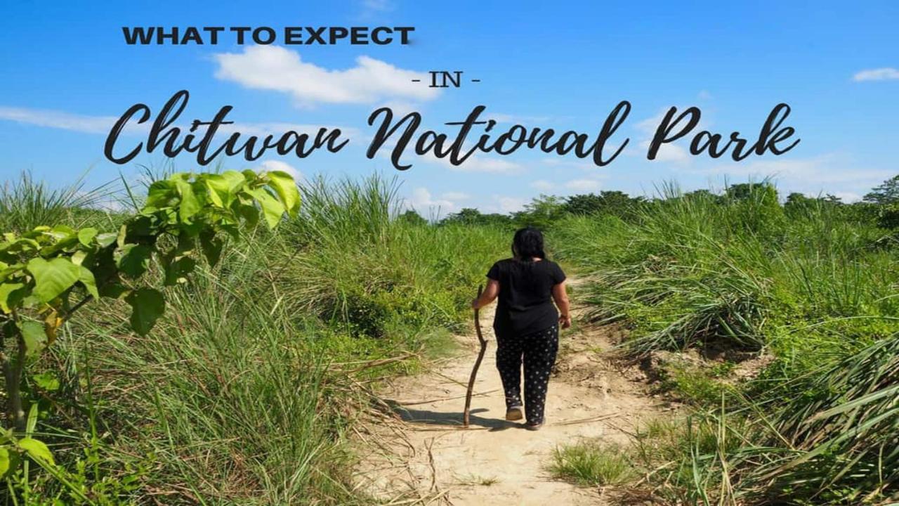 Hotel National Park Sauraha- Homely Stay And Peaceful Location With Jungle Safari Arrangements Exteriör bild