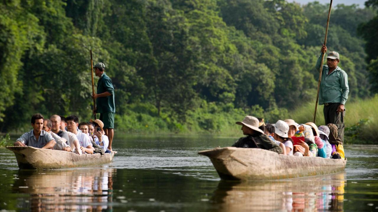 Hotel National Park Sauraha- Homely Stay And Peaceful Location With Jungle Safari Arrangements Exteriör bild