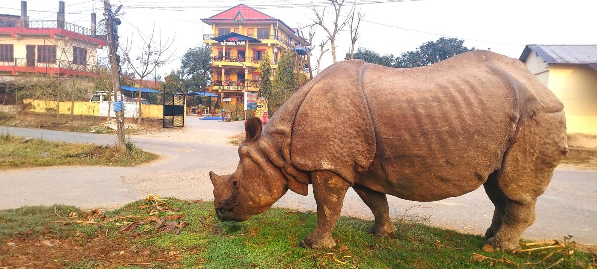 Hotel National Park Sauraha- Homely Stay And Peaceful Location With Jungle Safari Arrangements Exteriör bild