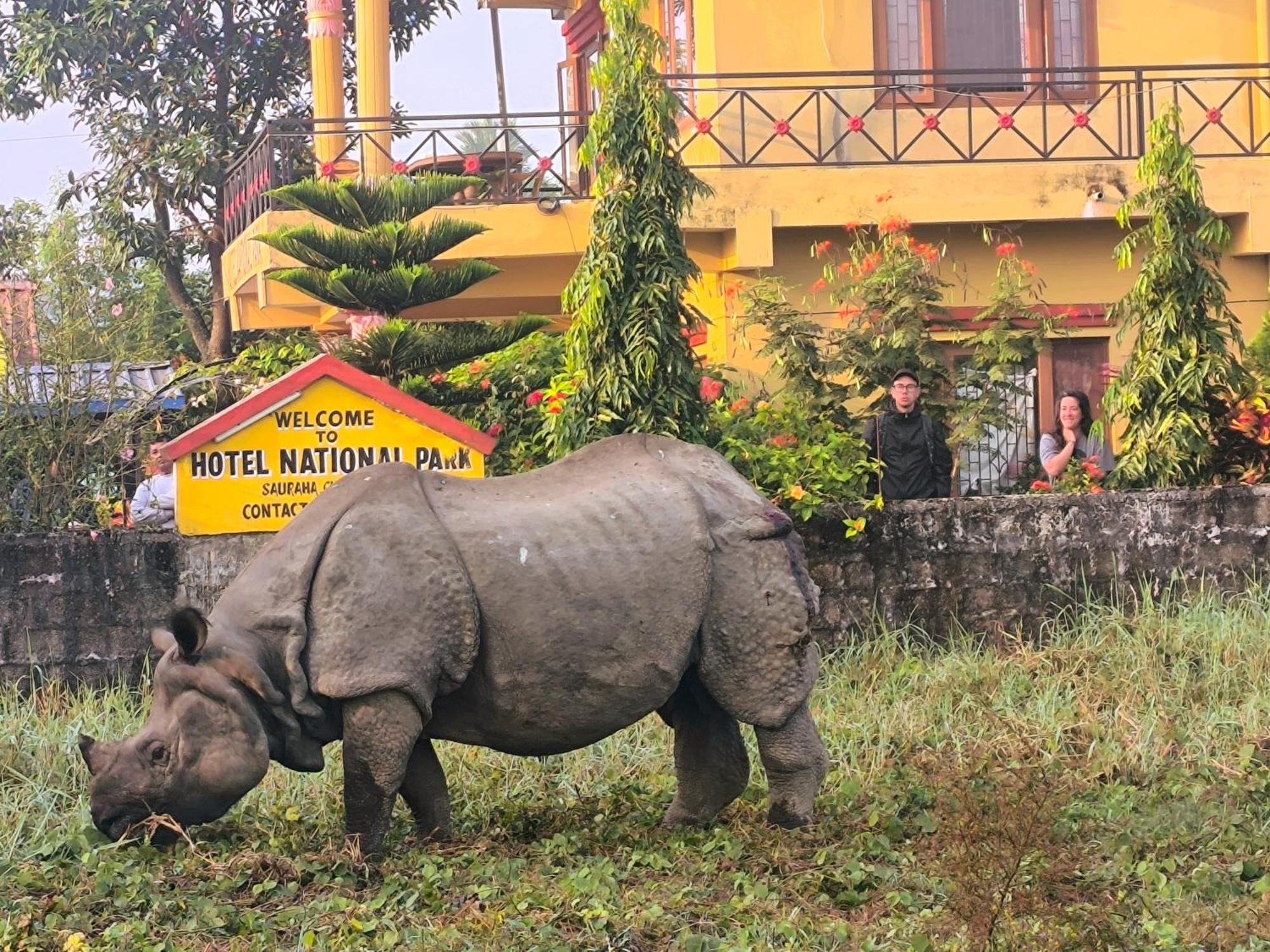 Hotel National Park Sauraha- Homely Stay And Peaceful Location With Jungle Safari Arrangements Exteriör bild
